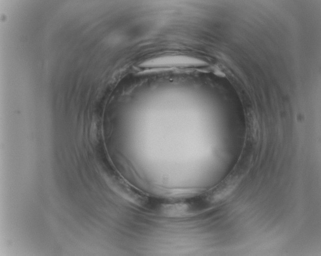 X0000071380266200607142118