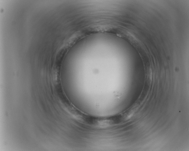 X0000071380268200607142118