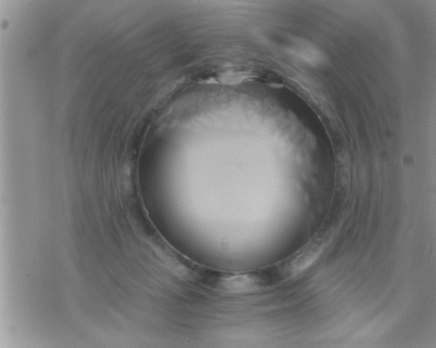 X0000071380269200607142118