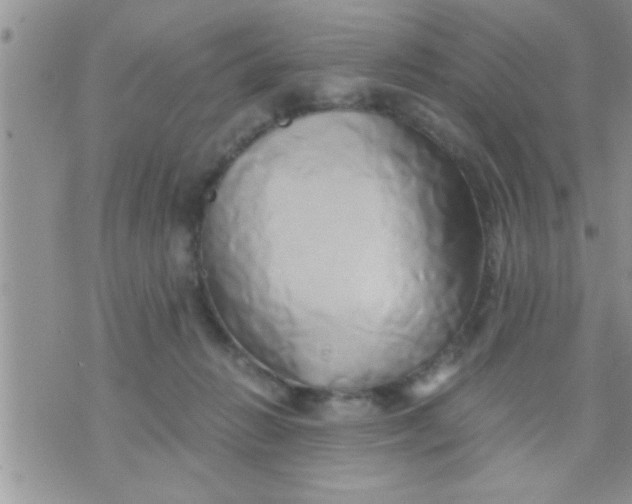 X0000071380270200607142118