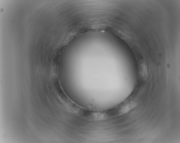 X0000071380272200607142118