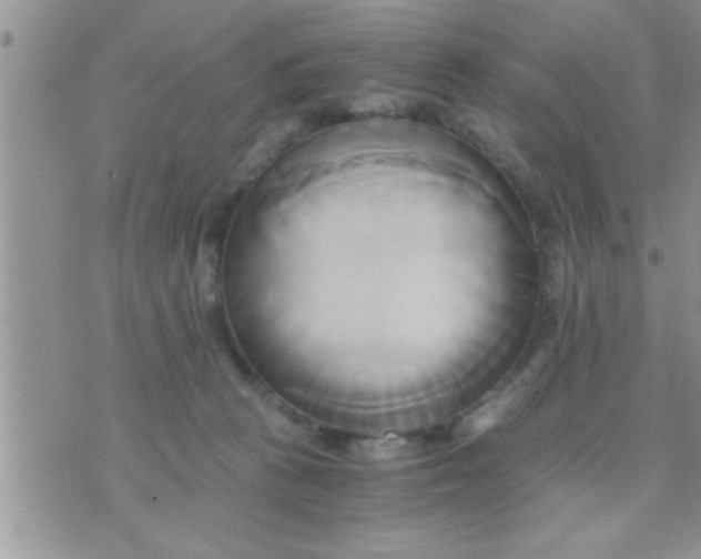 X0000071380273200607142118