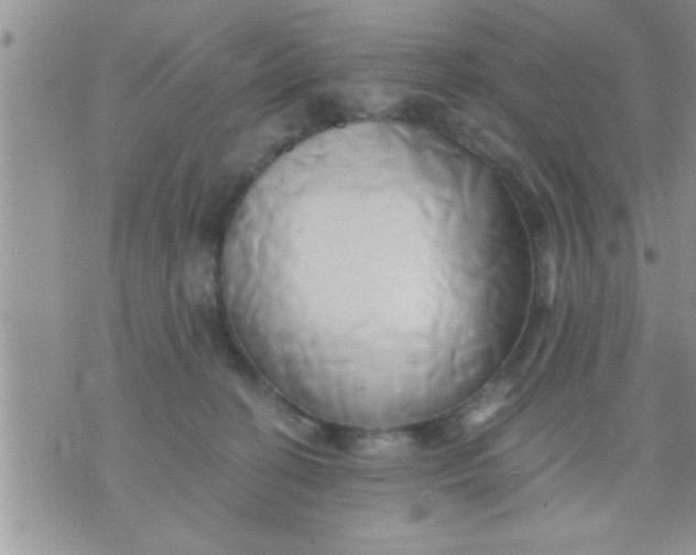 X0000071380274200607142118