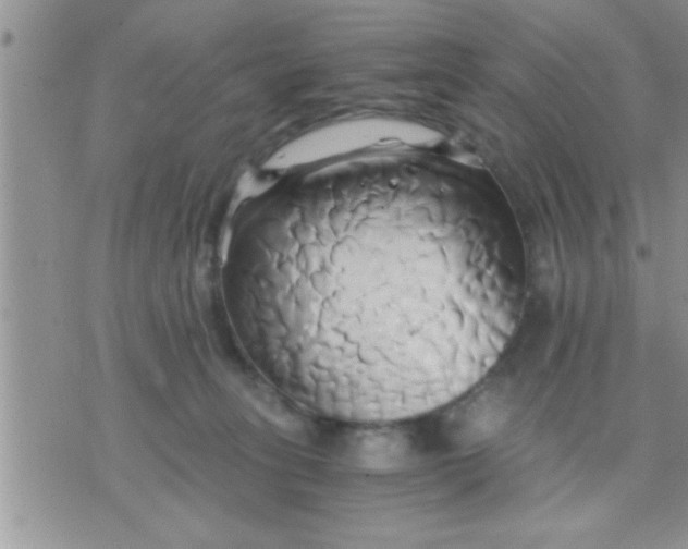 X0000071380275200607142118