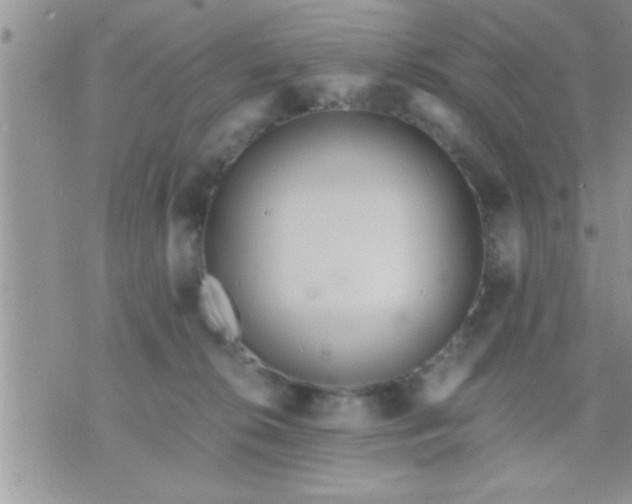 X0000071380276200607142118