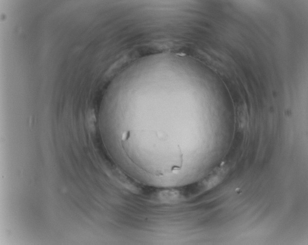 X0000071380279200607142118