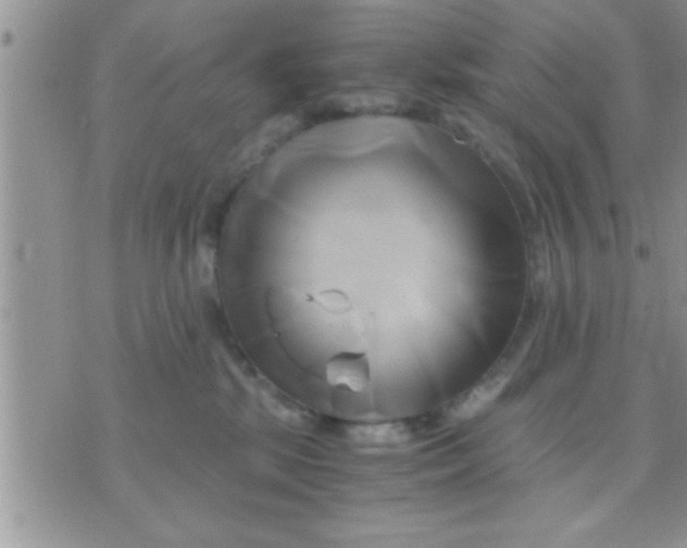 X0000071380281200607142118