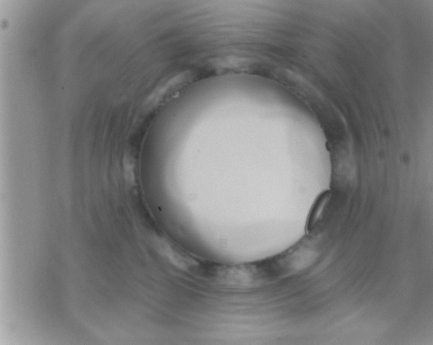 X0000071380282200607142118