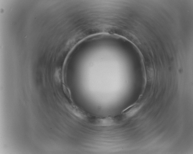 X0000071380286200607142118