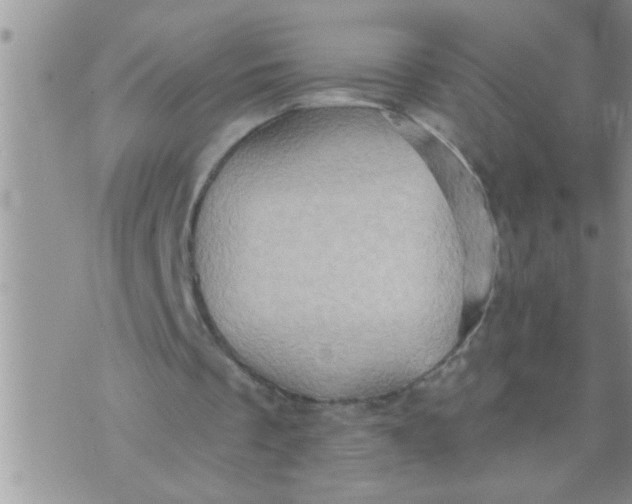 X0000071380289200607142117