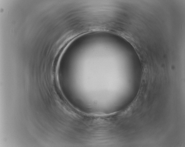 X0000071380290200607142117