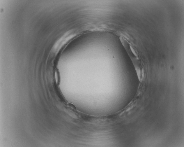 X0000071380291200607142117