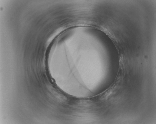 X0000071380292200607142117