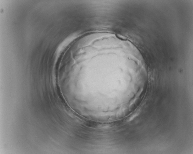 X0000071380294200607142117