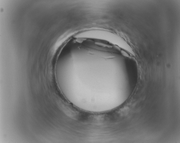 X0000071380295200607142117