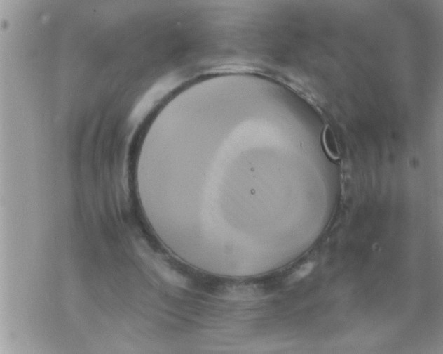 X0000071380296200607142117