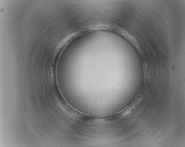 X0000071380298200607142117