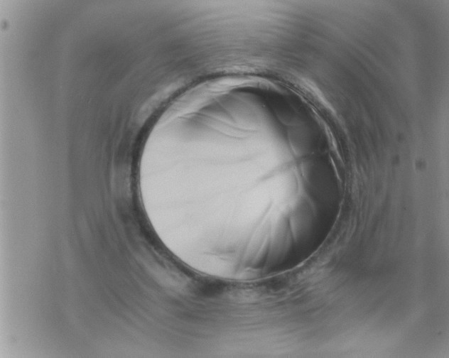 X0000071380299200607142117