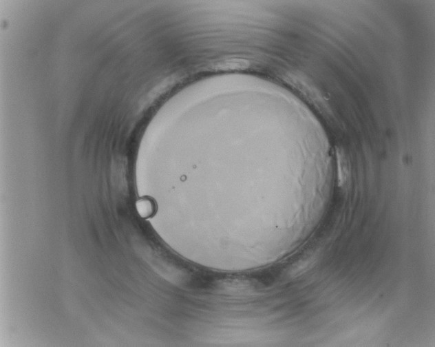 X0000071380300200607142117