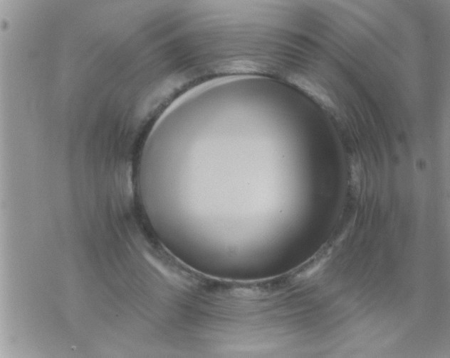 X0000071380302200607142117