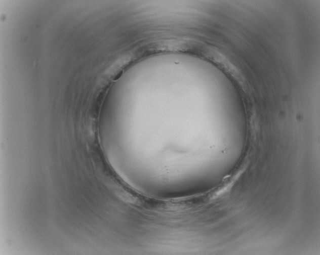 X0000071380305200607142117