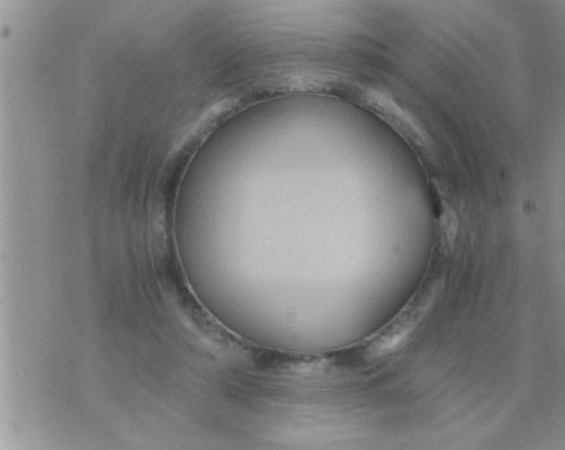 X0000071380306200607142117