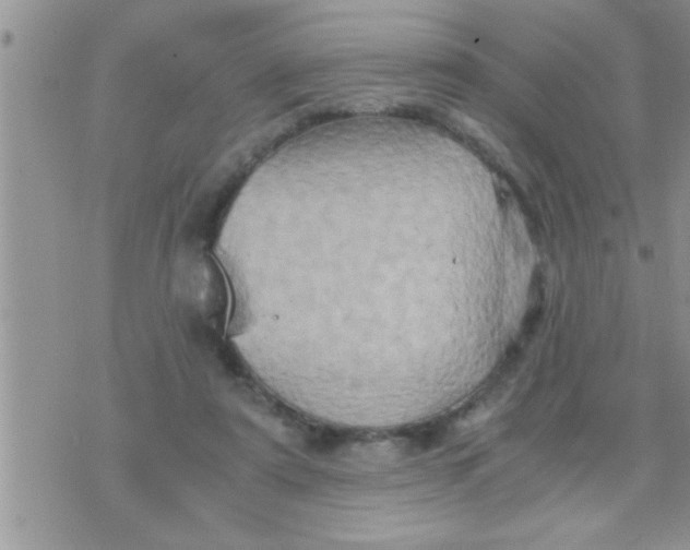 X0000071380307200607142117