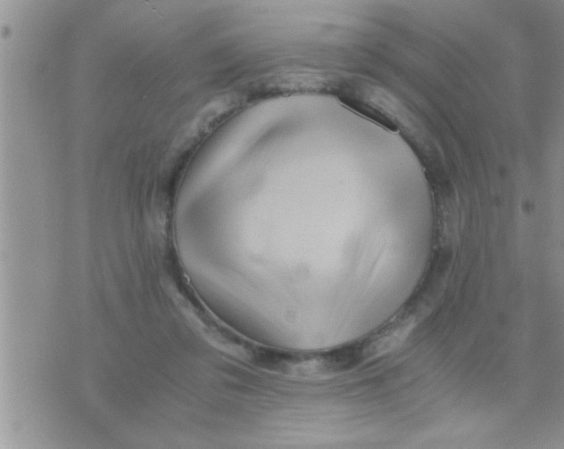 X0000071380309200607142117