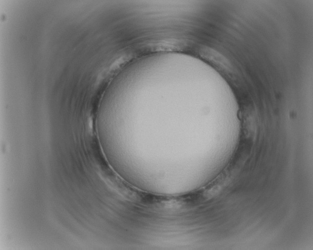 X0000071380310200607142117