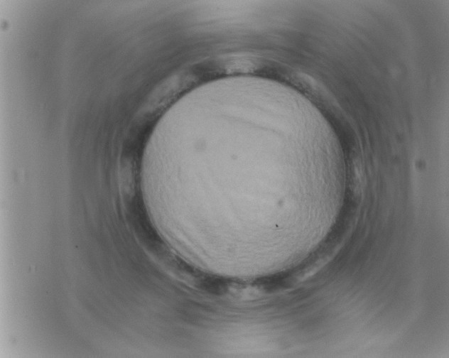 X0000071380311200607142117