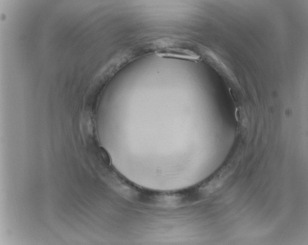 X0000071380313200607142117