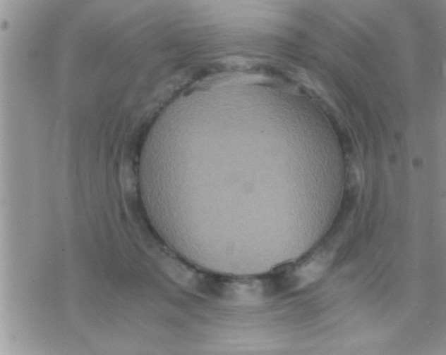 X0000071380317200607142117