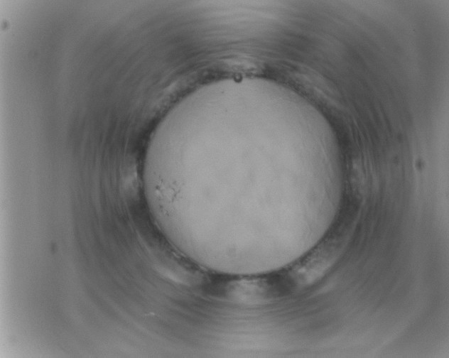 X0000071380320200607142117