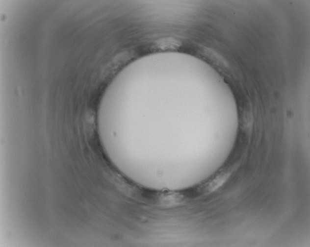 X0000071380321200607142117