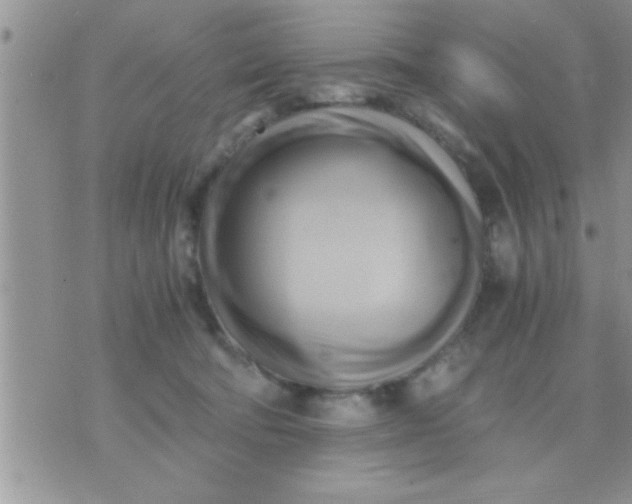 X0000071380322200607142117