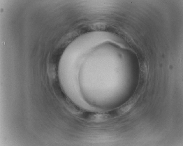 X0000071380323200607142117