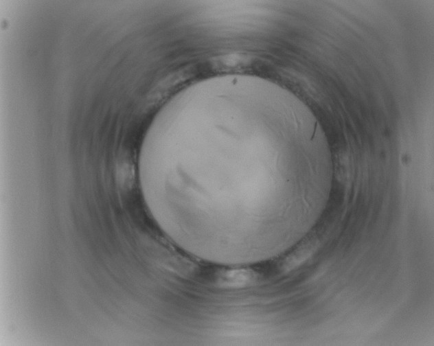 X0000071380324200607142117