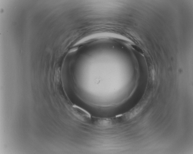 X0000071380325200607142117