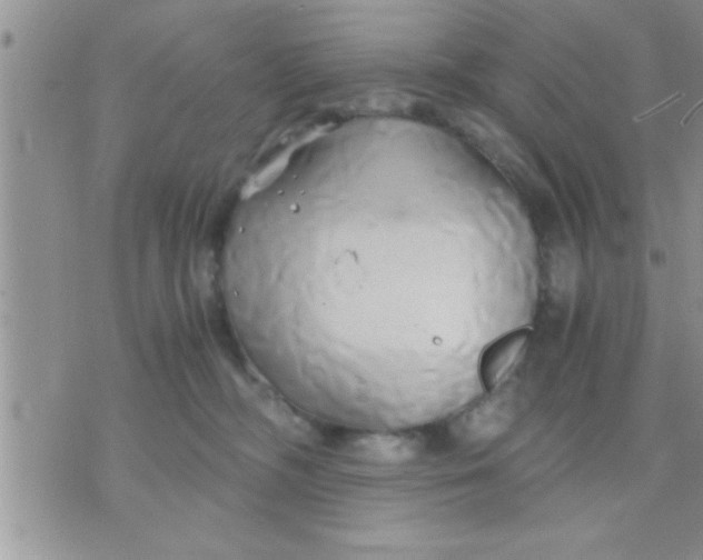 X0000071380326200607142117