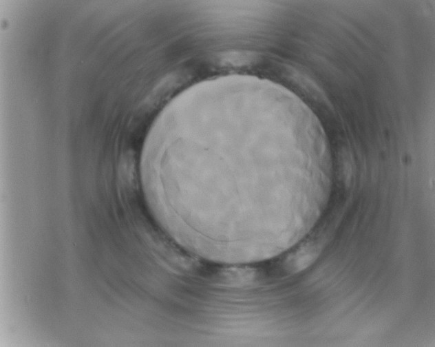 X0000071380328200607142117