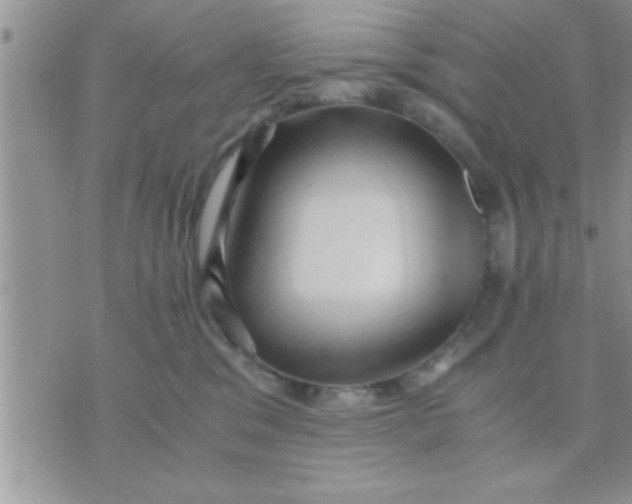 X0000071380329200607142117