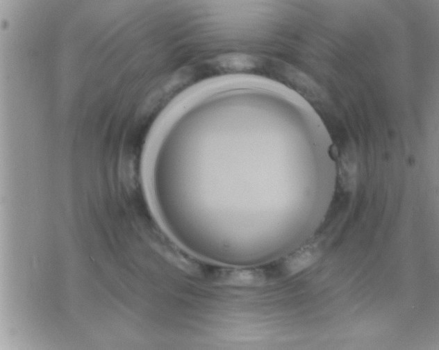 X0000071380330200607142117