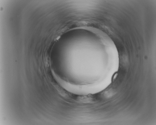 X0000071380331200607142117