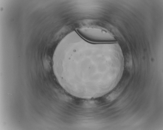 X0000071380332200607142117