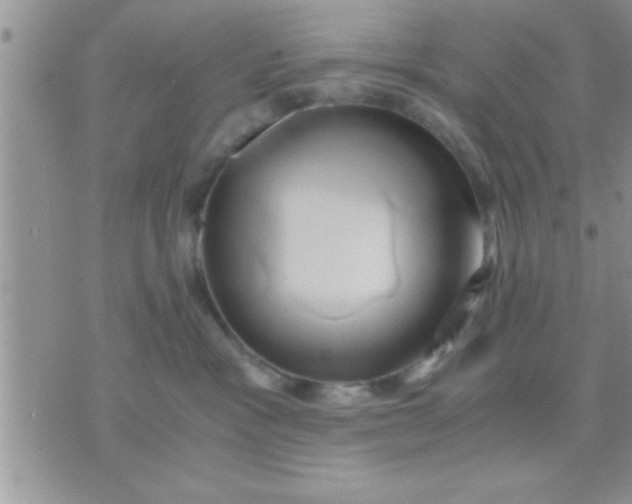 X0000071380333200607142117