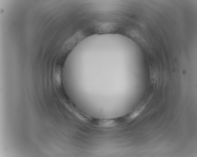 X0000071380334200607142117