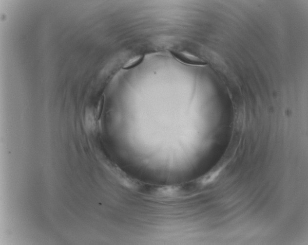 X0000071380335200607142117