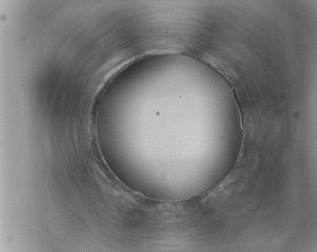 X0000071380338200607142116