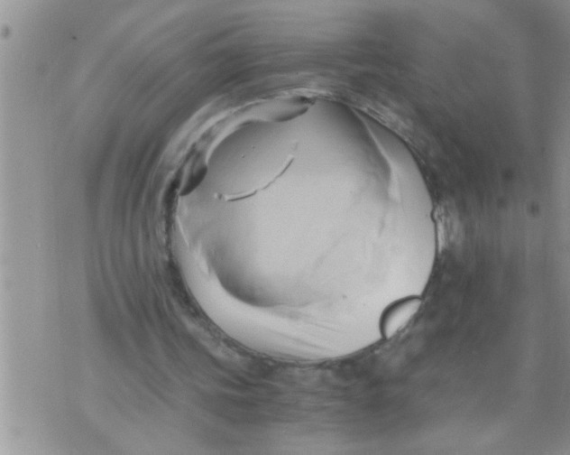 X0000071380339200607142116