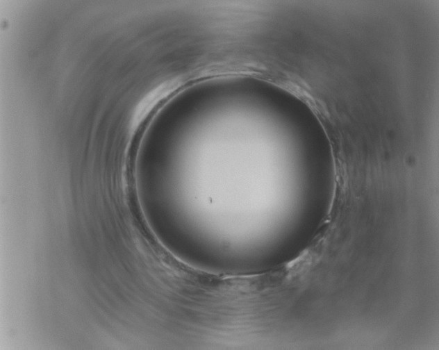 X0000071380340200607142116